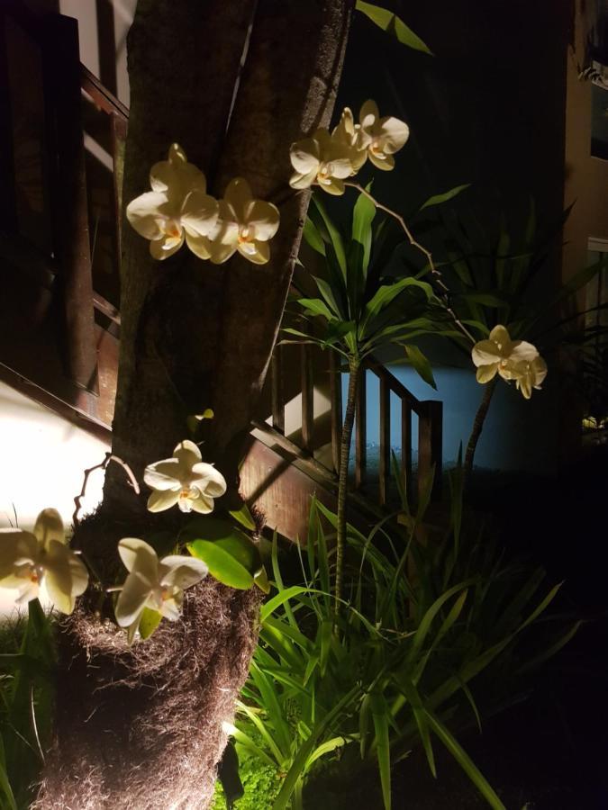 Linda Casa Em Juquehy Βίλα Juquei Εξωτερικό φωτογραφία